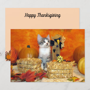 Pork Chop's Fall / Thanksgiving - Cute Cat Card