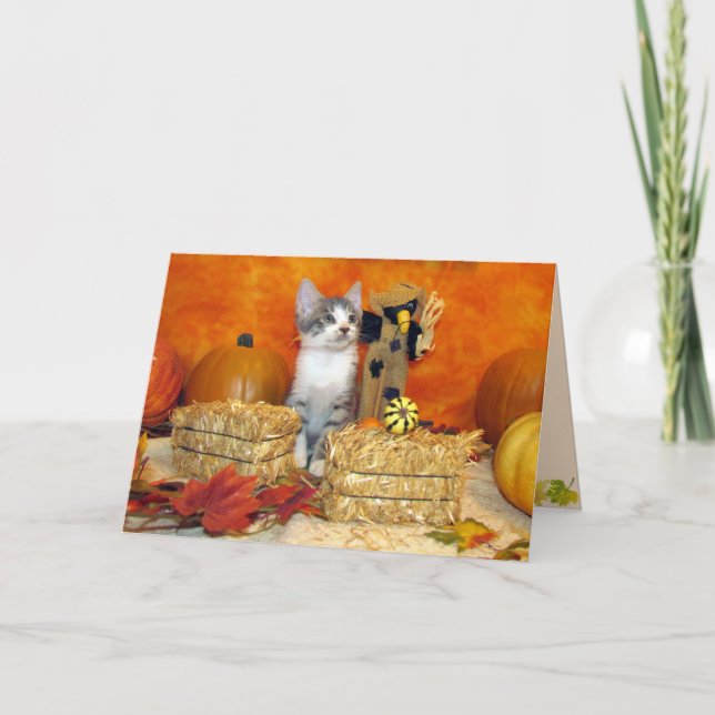 Pork Chop's Fall / Thanksgiving - Cute Cat Card (Front)