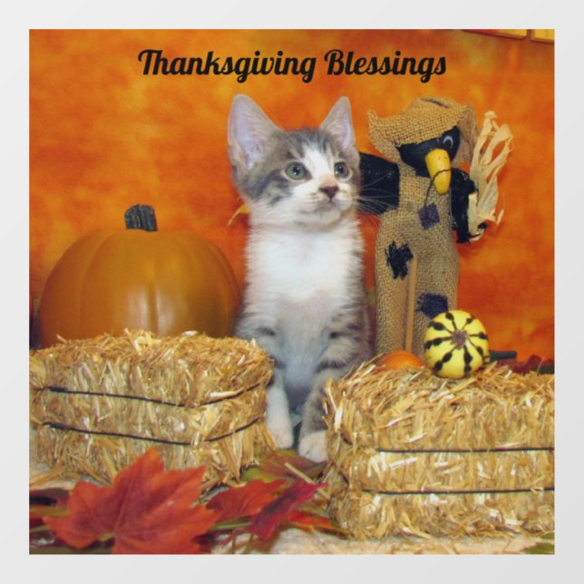 Pork Chop's Thanksgiving / Fall - Cat /Kitten  Window Cling (Sheet)