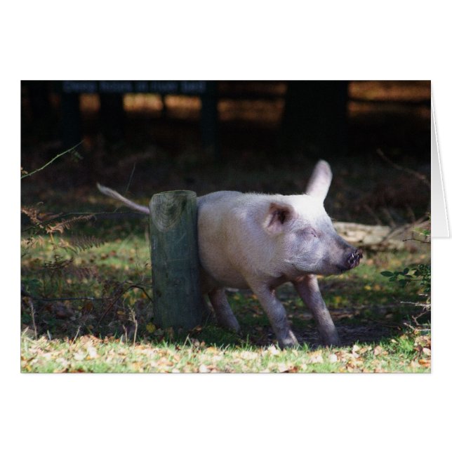 Pork scratching card (Front Horizontal)