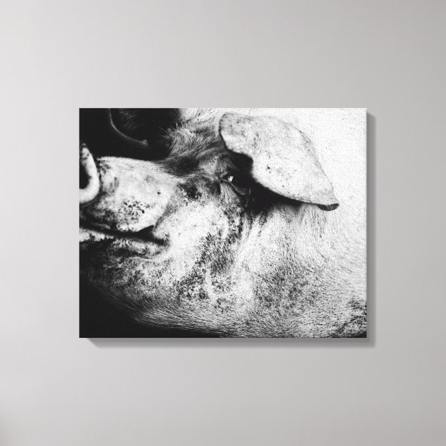 porker portrait canvas print (Front)