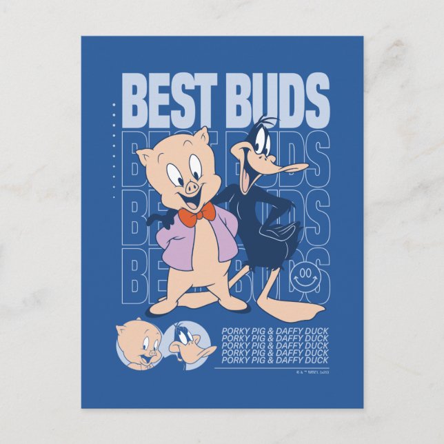 Porky Pig & DAFFY DUCK™ Best Buds Postcard (Front)