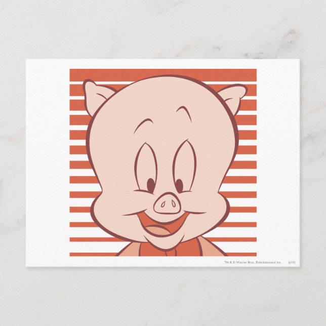Porky Pig Expressive 23 Postcard (Front)