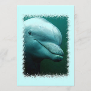 Porpoise Invitation