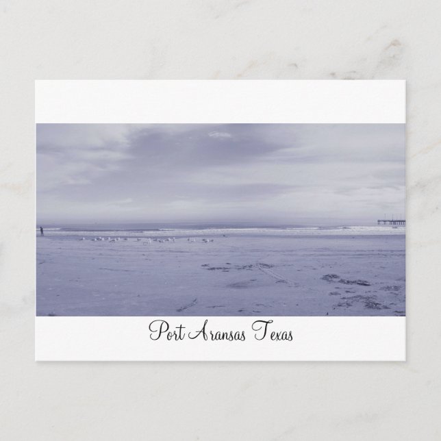 Port Aransas (Panoramic) #2 Postcard (Front)