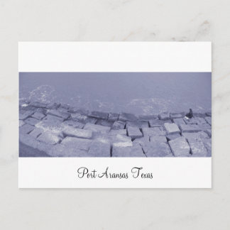 Port Aransas (Panoramic) La Pesca Postcard