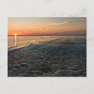 Port St Joe Sunset Postcard