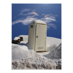 Portable Potty ~ Photo Print