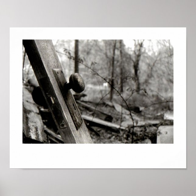 Porte abandonnée dans les bois Poster (Devant)