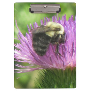 Porte-bloc Abeille sur le Porte - bloc de chardon