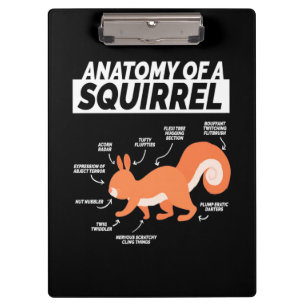 Porte-bloc Anatomie D'Un Écureuil