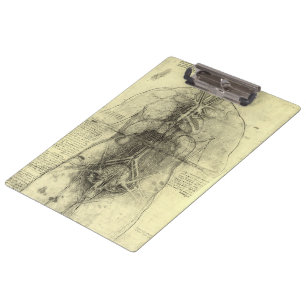 Porte-bloc Anatomie humaine de Léonard de Vinci, Torse fémini