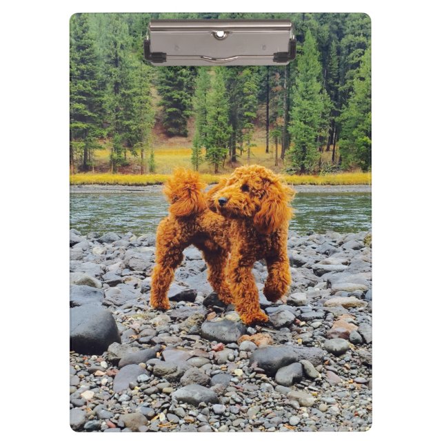Porte-bloc Apricot Poodle - Cadeau Personnalisable (Devant)