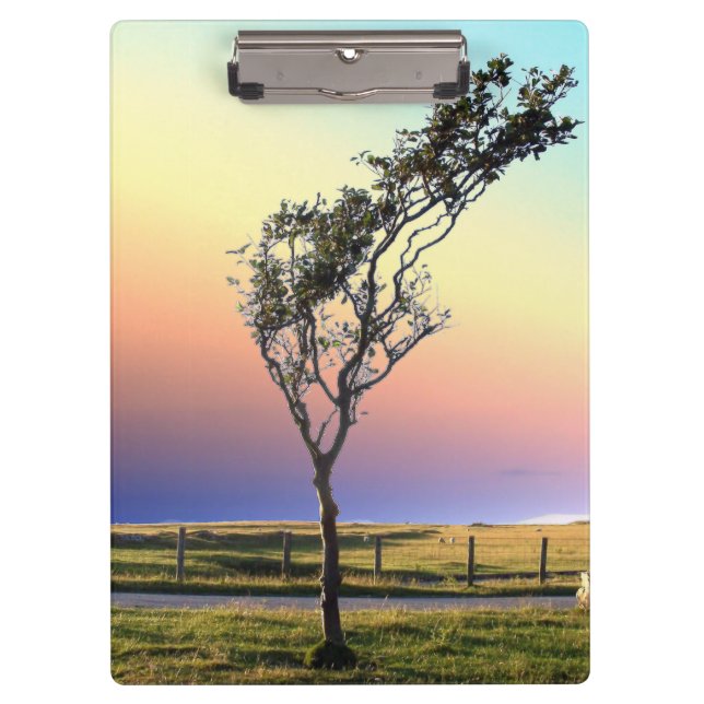 PORTE-BLOC ARBRE LONE (Devant)