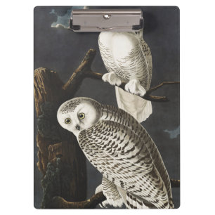 Porte-bloc Art ancien d'oiseau de nuit, Chouette blanche d'Au