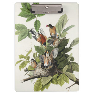 Porte-bloc Art ancien nid d'oiseau merle d'Amérique d'Audubon