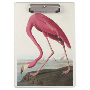 Porte-bloc Art Vintage Audubon Flamant rose Américain Oiseau