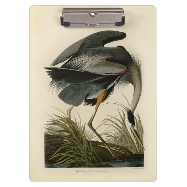 Porte-bloc Audubon Great Blue Heron Marsh Bird (Devant)