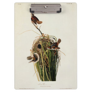 Porte-bloc Audubon Marsh Wren Bird Art
