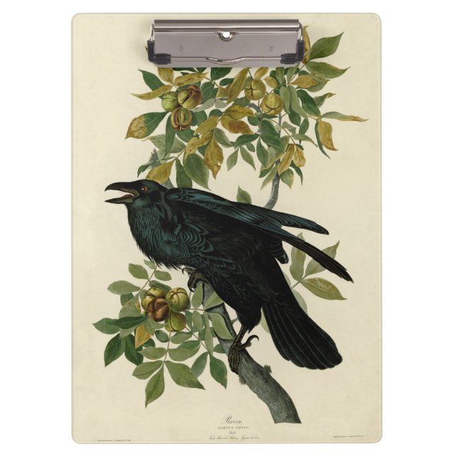 Porte-bloc Audubon Raven Oiseau classique (Devant)