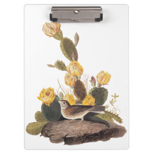 Porte-bloc Audubon Vesper Sparrow et Prickly Pear Cactus