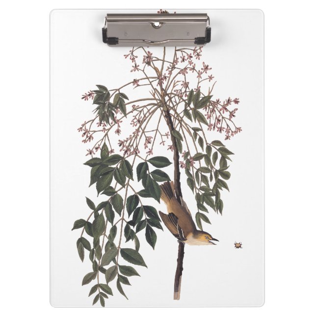 Porte-bloc Audubon White Eyed Vireo Song Bird Art (Devant)
