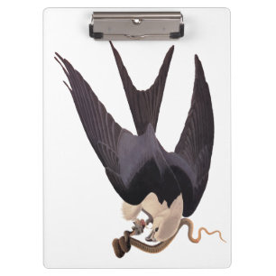 Porte-bloc Avaler Queue Hawk avec Serpent Vintage Audubon