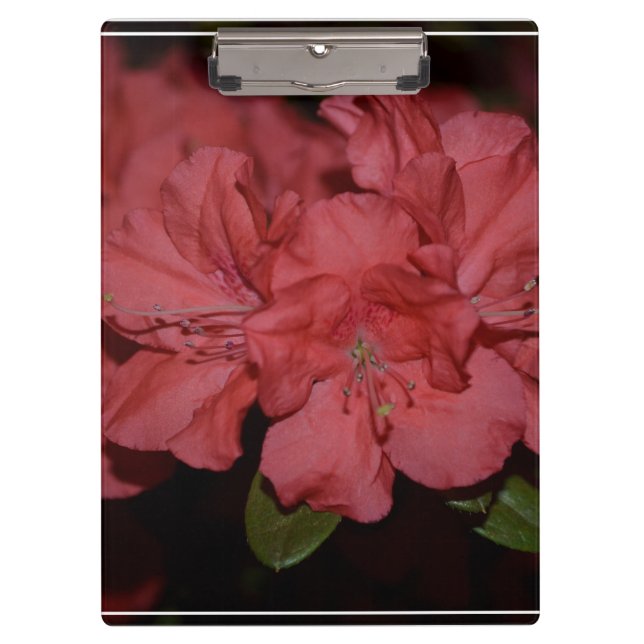Porte-bloc Azalées assez roses (Devant)
