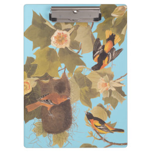 Porte-bloc Baltimore Oriole Audubon Bird Family avec nid