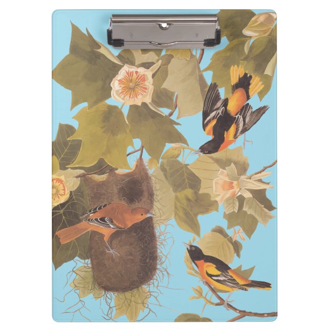 Porte-bloc Baltimore Oriole Audubon Bird Family avec nid (Devant)