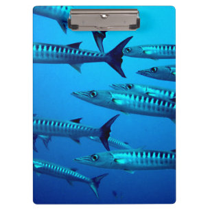 Porte-bloc Barracudas