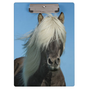 Porte-bloc Beau Cheval