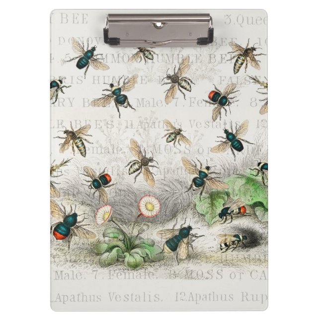 Porte-bloc Bee Honey Travailleur Queen Bees Antique (Devant)