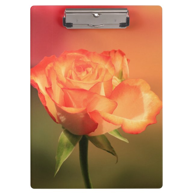 Porte-bloc Belle photo de Rose romantique (Devant)