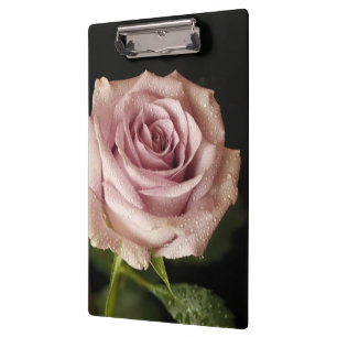 Porte-bloc belle rose rose