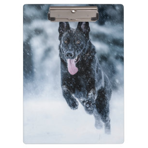 Porte-bloc Berger allemand noir dans la couverture de duvet d