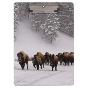 Porte-bloc Bison en hiver