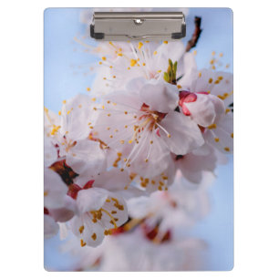 Porte-bloc Blossom des abricots japonais