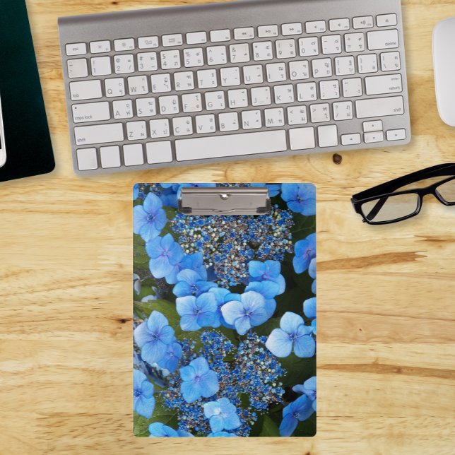 Porte-bloc Blue Lacecap Hydrangea Floral (In Situ)