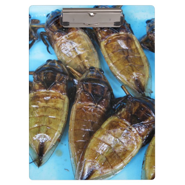 Porte-bloc Bogue d'eau géante frite (Maeng Daa) ... Alimentat (Devant)