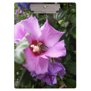 Porte-bloc Bumblebebe sur la fleur d'Hibiscus