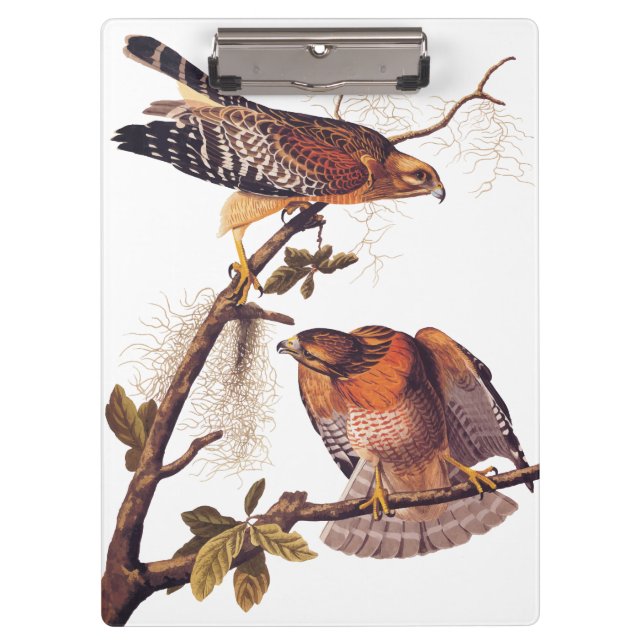 Porte-bloc Buse à épaulettes roux Audubon Oiseau de proie (Devant)