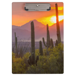 Porte-bloc Cactus du désert au coucher du soleil, Arizona
