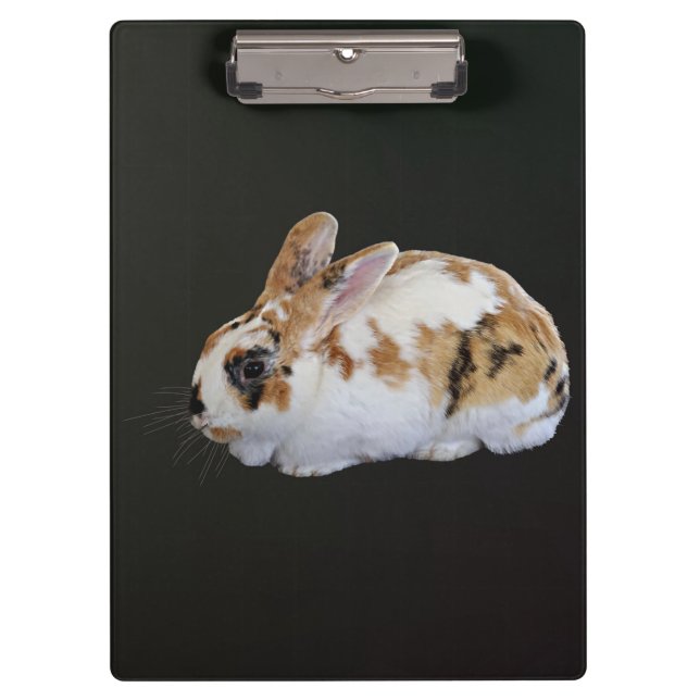 Porte-bloc Calico Rabbit (Devant)