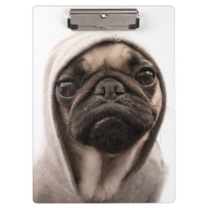 Porte-bloc Carlin dans un sweat - shirt à capuche