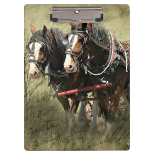 Porte-bloc Carte postale Patiné vintage Clydesdale