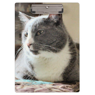 Porte-bloc Cat