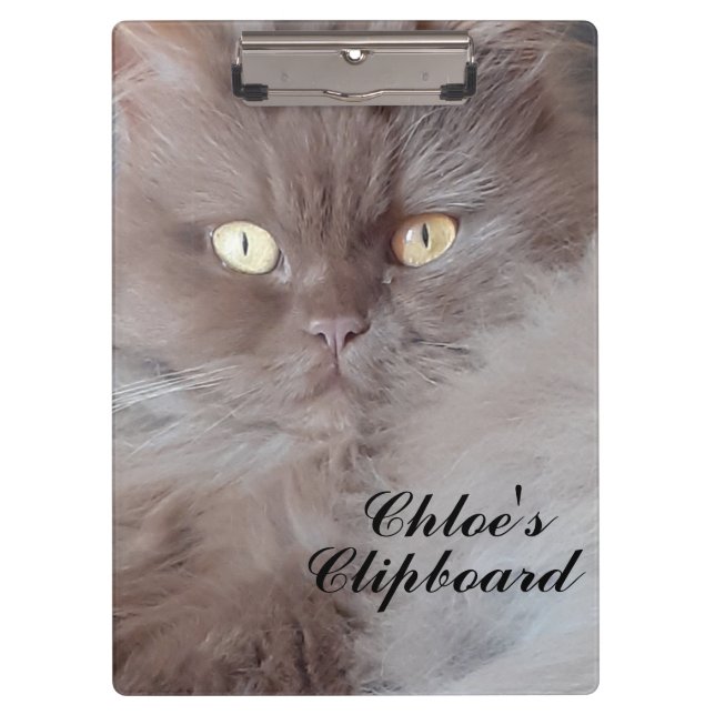 Porte-bloc Cat mignon (Devant)