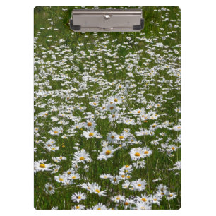 Porte-bloc Champ de marguerites Fleurs sauvages de l'Alaska