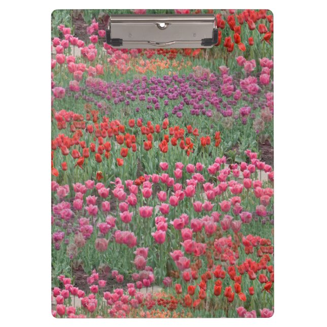 Porte-bloc Champ De Tulipes (Devant)